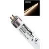 Philips Master TL5 HE 28W T5 Floresan Beyaz 865 115 CM